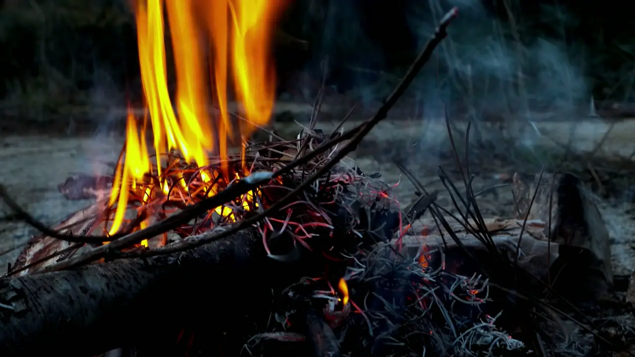 Le feu vivant